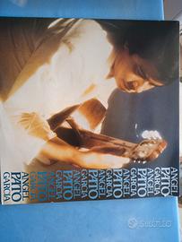 vinile 33 giri 