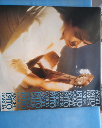 vinile 33 giri 