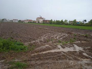 Lushnje - Divjakë, Rr. Çermë e Sipërme