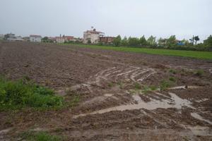 Lushnje - Divjakë, Rr. Çermë e Sipërme