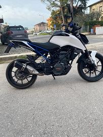 KTM DUKE