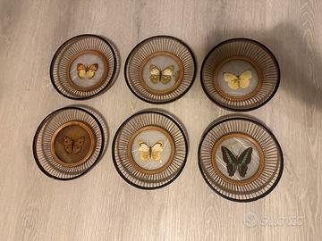 Quadretti tondi con farfalle imbalsamate