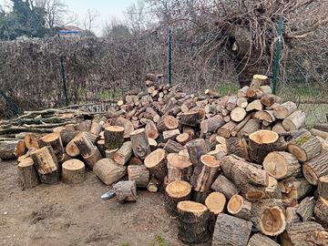 legna tagliata