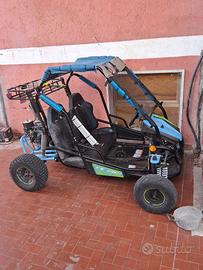 Baggy 196 cc
