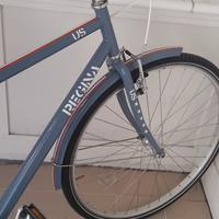 cyty bike regina fuori corso 