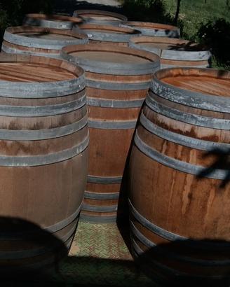 Barriques Botticelle 16 pezzi