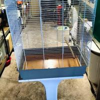 Gabbie per uccelli o pappagalli