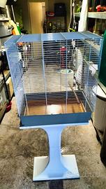 Gabbie per uccelli o pappagalli