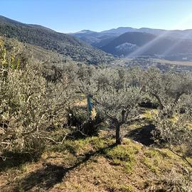 Vendita terreno recintato di mq. 3638