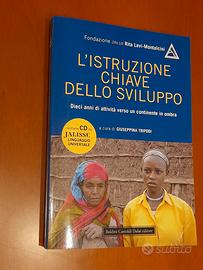 L'istruzione chiave dello sviluppo