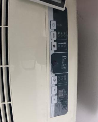 Pinguino delonghi