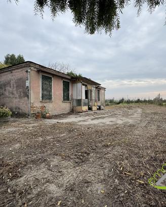 Casa singola a Codevigo (PD)