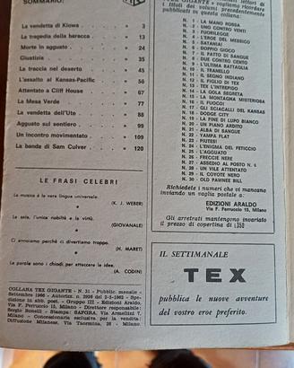 Fumetti Tex e Mister No