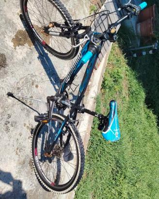 lombardo/ ruote da 24 /cambio shimano 21 marce