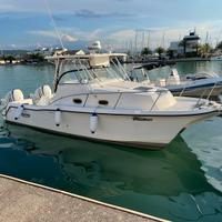 ProSport Prokat 2860 WA 2x250 Suzuki