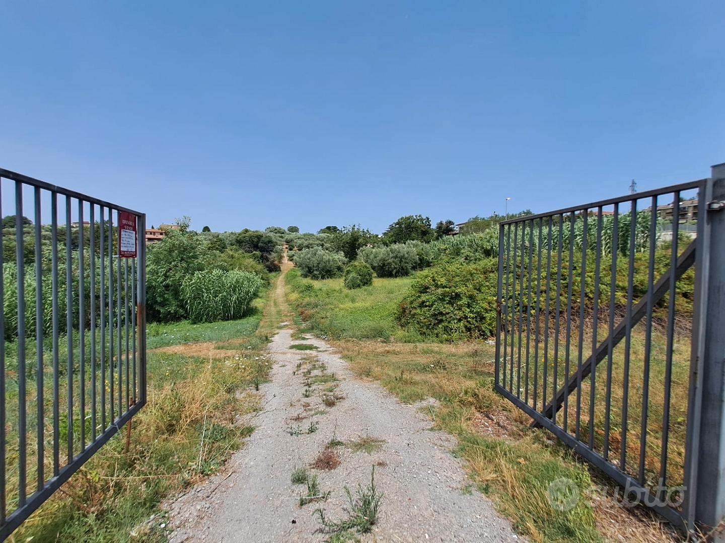 Rif.49 Terreno Agricolo e Magazzino Albano Laziale - Vista 2