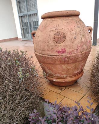 Orci toscani