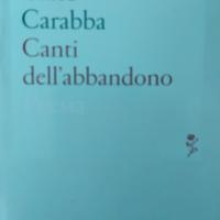 Libro poesie