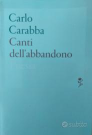 Libro poesie