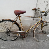 Favorita sport bicicletta mis 28