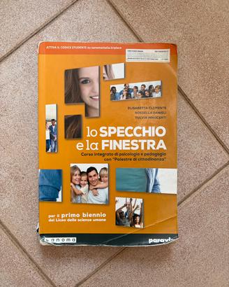 lo specchio e la finestra