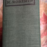 libro passaggio a nord ovest