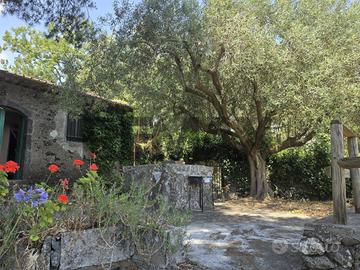 Casa Indipendente - Piedimonte Etneo