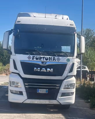 Man 460 tgx