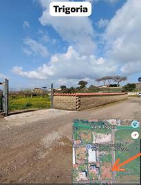 Trigoria terreno agricolo