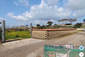 Trigoria terreno agricolo