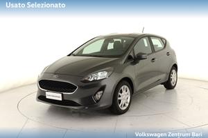 Ford Fiesta 5p 1.0 ecoboost business s&s 100cv