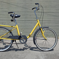 Tandem bi-bici