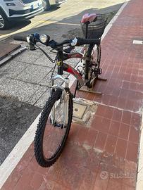 MTB  telaio in alluminio