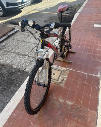 MTB  telaio in alluminio