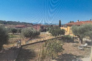 Casa bifamiliare 