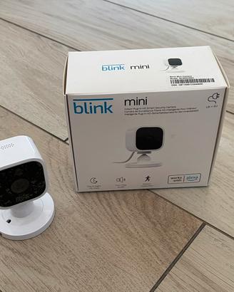 Blink mini