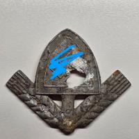 Distintivo RAD ww2