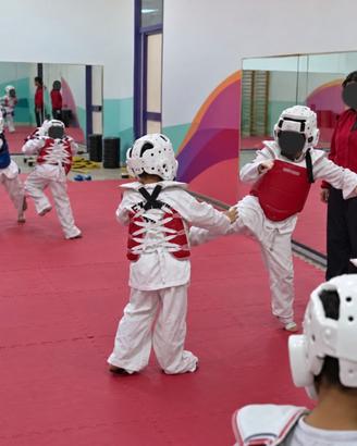 Completo taekwondo 