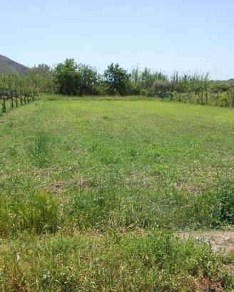 Terreno di 960 m² a Mondragone