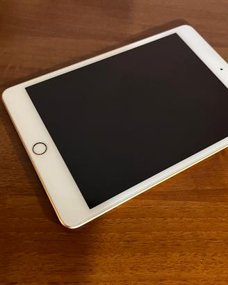 ipad mini 5 64gb