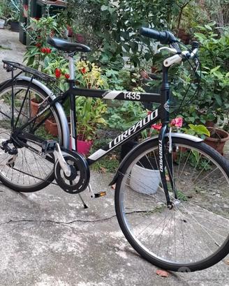 City bike Torpado