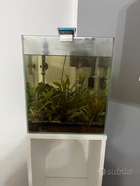 Acquario completo 30x30