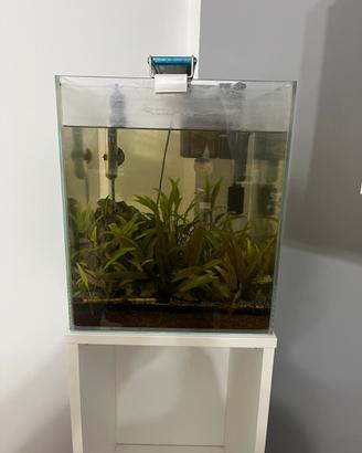 Acquario completo 30x30