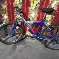 Bicicletta mountain bike