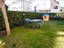 Immagine 5