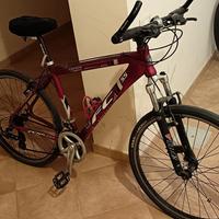 Mountain bike uomo