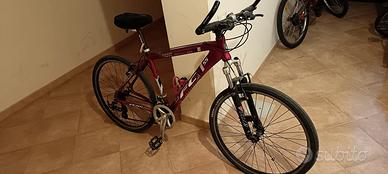 Mountain bike uomo