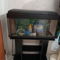 Acquario 100 L