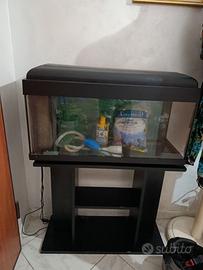 Acquario 100 L