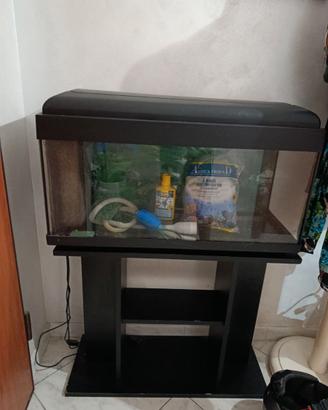 Acquario 100 L